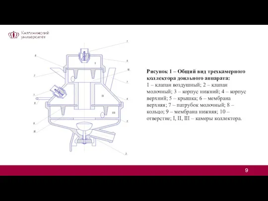 Рисунок 1 – Общий вид трехкамерного коллектора доильного аппарата: 1 –