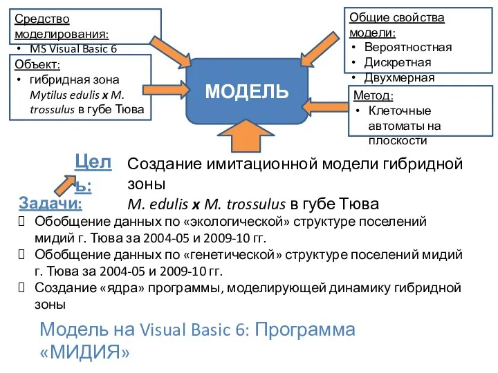 Общие свойства модели: Вероятностная Дискретная Двухмерная Средство моделирования: MS Visual Basic