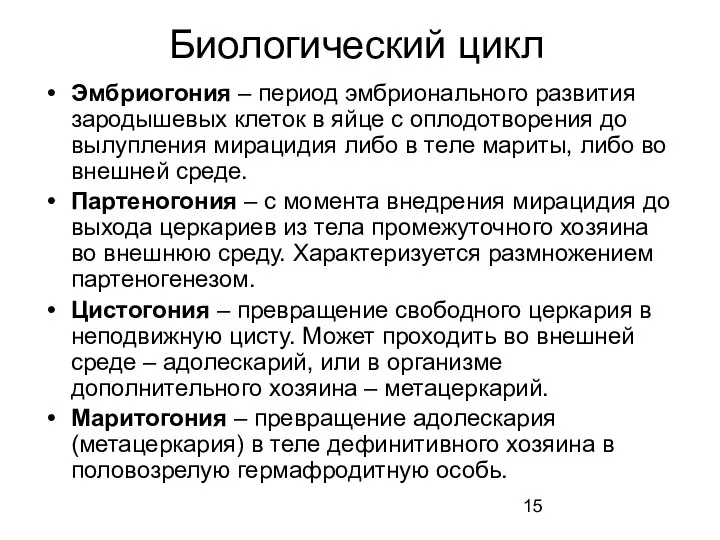 Биологический цикл Эмбриогония – период эмбрионального развития зародышевых клеток в яйце