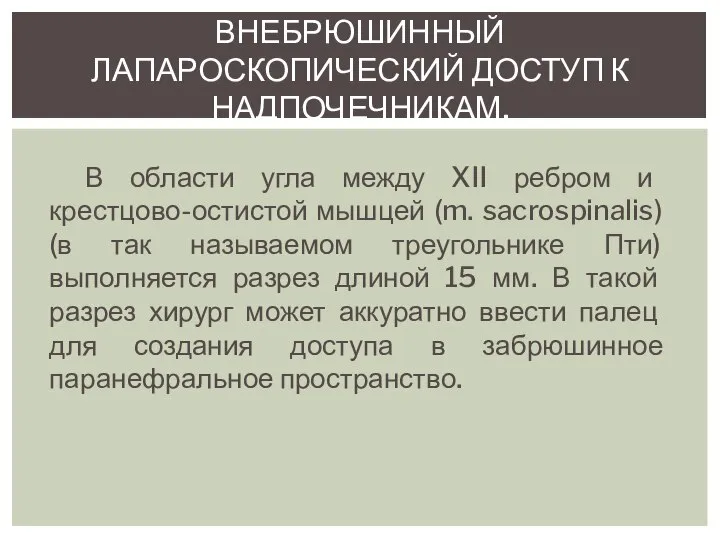 В области угла между XII ребром и крестцово-остистой мышцей (m. sacrospinalis)