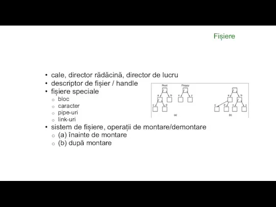 Fișiere cale, director rădăcină, director de lucru descriptor de fișier /