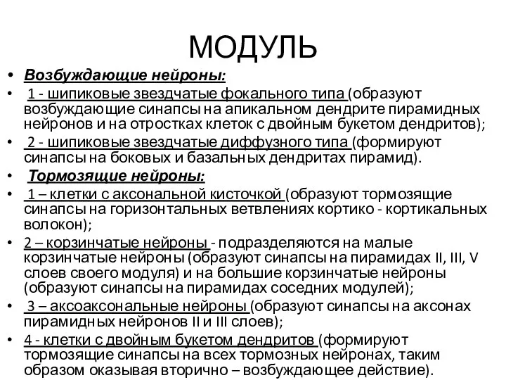 МОДУЛЬ Возбуждающие нейроны: 1 - шипиковые звездчатые фокального типа (образуют возбуждающие