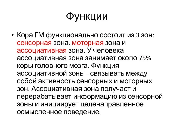 Функции Кора ГМ функционально состоит из 3 зон: сенсорная зона, моторная