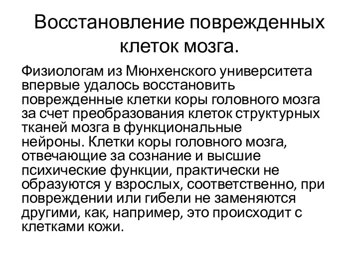 Восстановление поврежденных клеток мозга. Физиологам из Мюнхенского университета впервые удалось восстановить