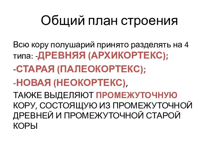 Общий план строения Всю кору полушарий принято разделять на 4 типа: