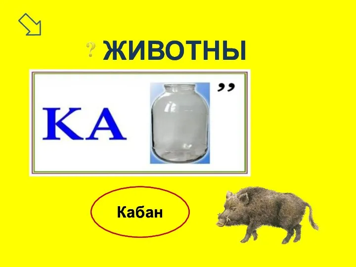 ЖИВОТНЫЕ Кабан