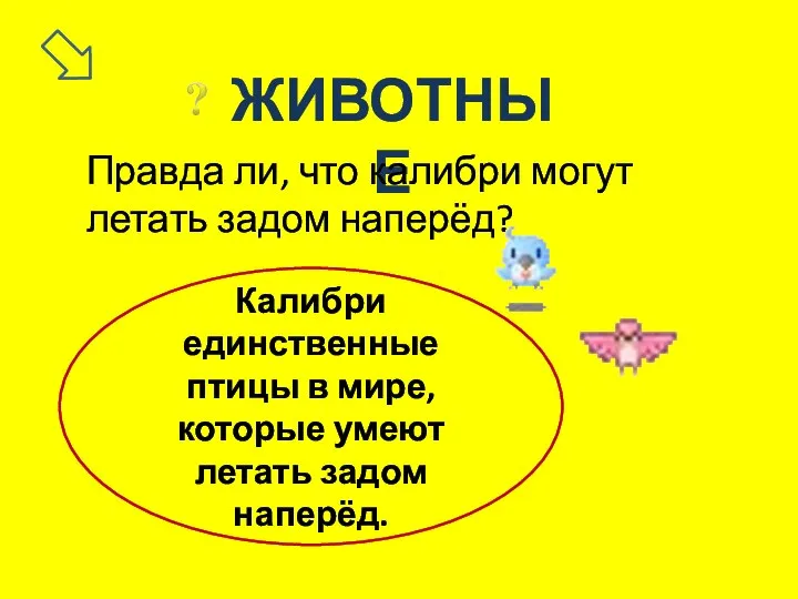 ЖИВОТНЫЕ Правда ли, что калибри могут летать задом наперёд? Калибри единственные