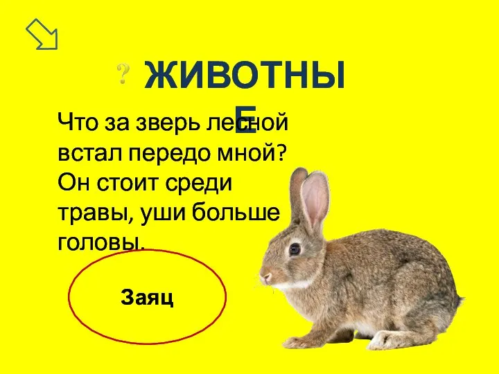 ЖИВОТНЫЕ Что за зверь лесной встал передо мной? Он стоит среди травы, уши больше головы. Заяц