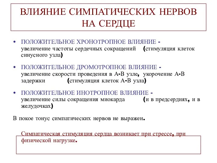 ВЛИЯНИЕ СИМПАТИЧЕСКИХ НЕРВОВ НА СЕРДЦЕ ПОЛОЖИТЕЛЬНОЕ ХРОНОТРОПНОЕ ВЛИЯНИЕ - увеличение частоты