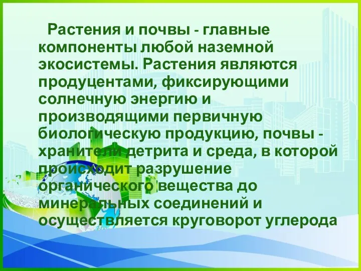 Растения и почвы - главные компоненты любой наземной экосистемы. Растения являются