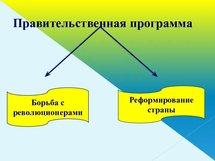 Правительственная программа Борьба с революционерами Реформирование страны