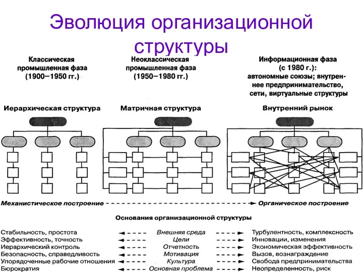 Эволюция организационной структуры