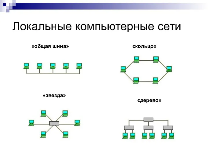 Локальные компьютерные сети «общая шина» «кольцо» «звезда» «дерево»