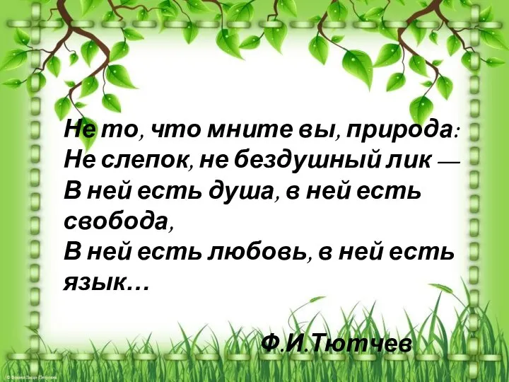 Не то, что мните вы, природа: Не слепок, не бездушный лик