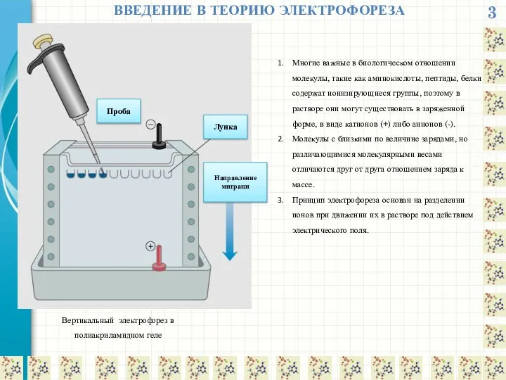 3 ВВЕДЕНИЕ В ТЕОРИЮ ЭЛЕКТРОФОРЕЗА