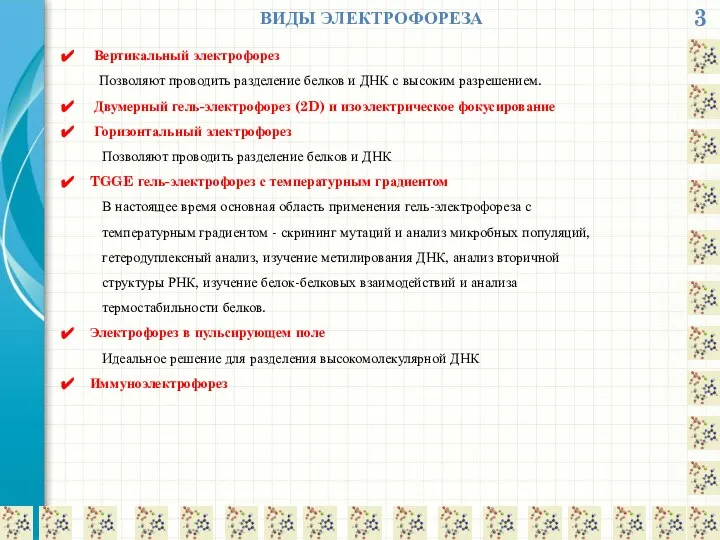 3 ВИДЫ ЭЛЕКТРОФОРЕЗА Вертикальный электрофорез Позволяют проводить разделение белков и ДНК