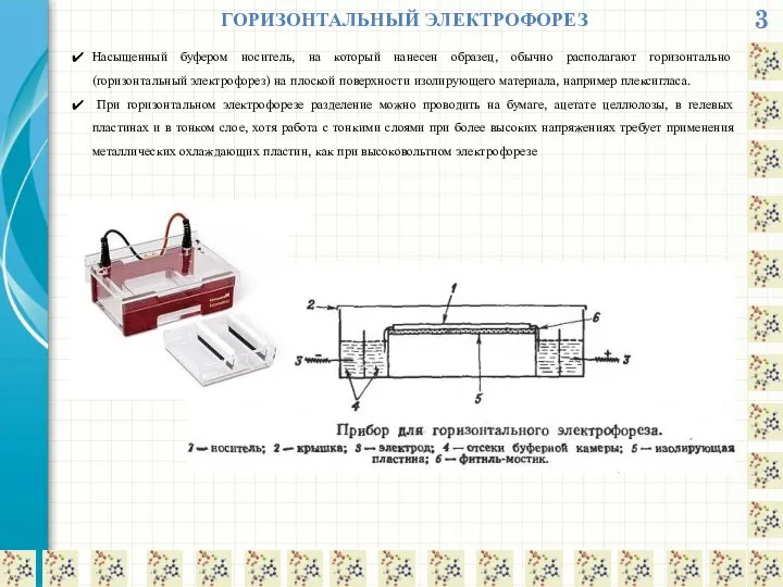 3 ГОРИЗОНТАЛЬНЫЙ ЭЛЕКТРОФОРЕЗ Насыщенный буфером носитель, на который нанесен образец, обычно