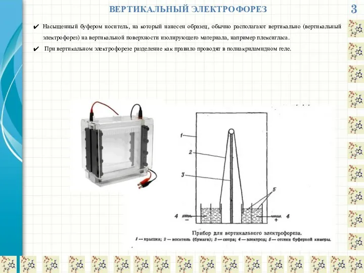 3 ВЕРТИКАЛЬНЫЙ ЭЛЕКТРОФОРЕЗ Насыщенный буфером носитель, на который нанесен образец, обычно