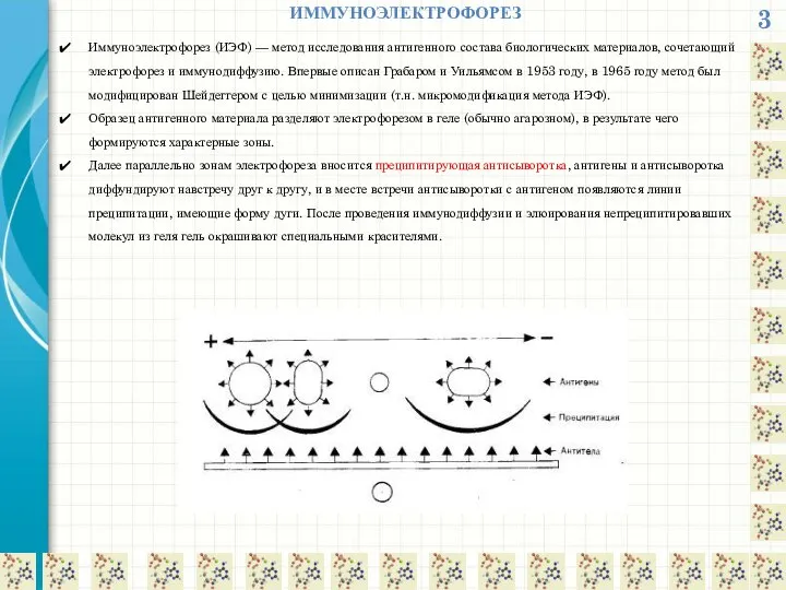 3 ИММУНОЭЛЕКТРОФОРЕЗ Иммуноэлектрофорез (ИЭФ) — метод исследования антигенного состава биологических материалов,