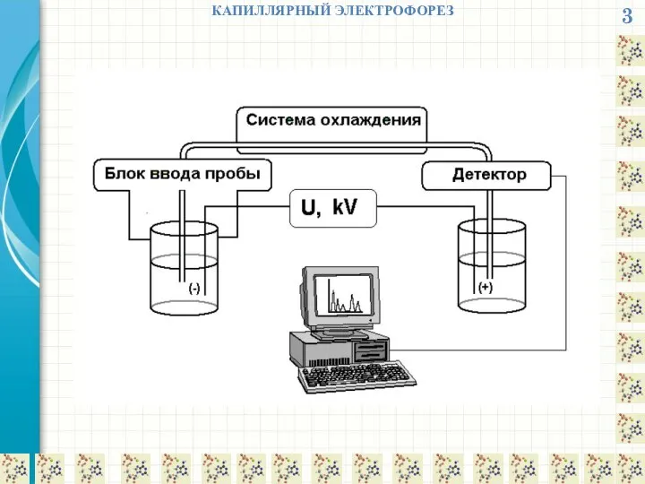 3 КАПИЛЛЯРНЫЙ ЭЛЕКТРОФОРЕЗ