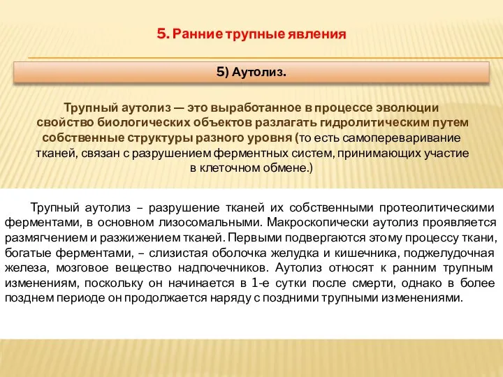 5. Ранние трупные явления 5) Аутолиз. Трупный аутолиз — это выработанное