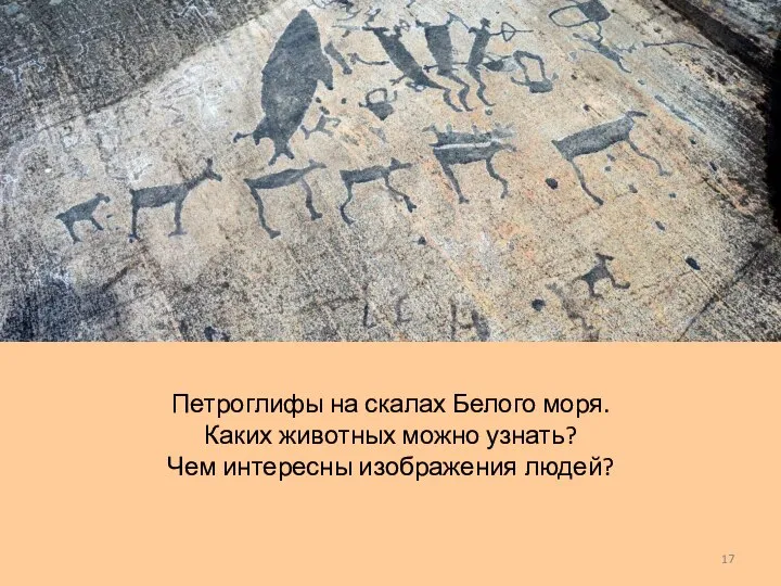 Петроглифы на скалах Белого моря. Каких животных можно узнать? Чем интересны изображения людей?