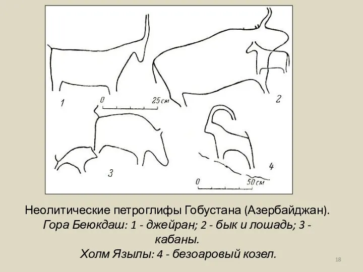 Неолитические петроглифы Гобустана (Азербайджан). Гора Беюкдаш: 1 - джейран; 2 -