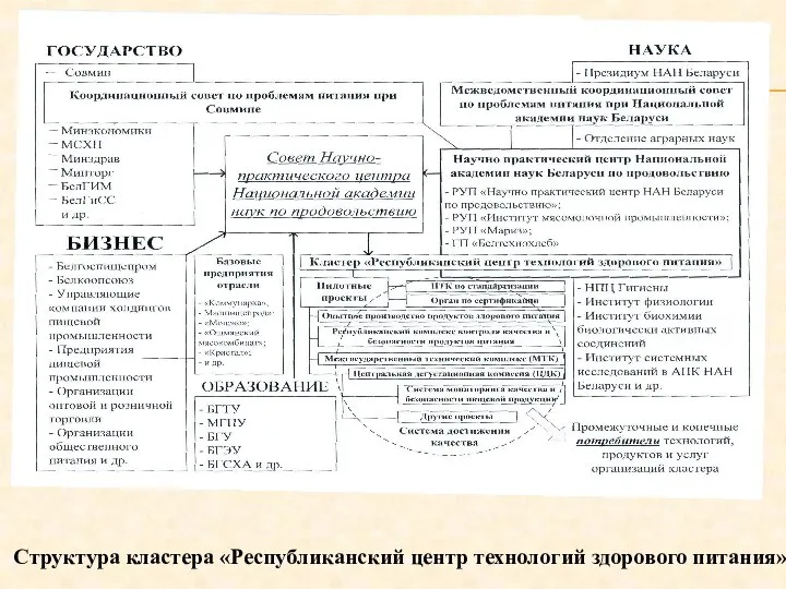 Структура кластера «Республиканский центр технологий здорового питания»