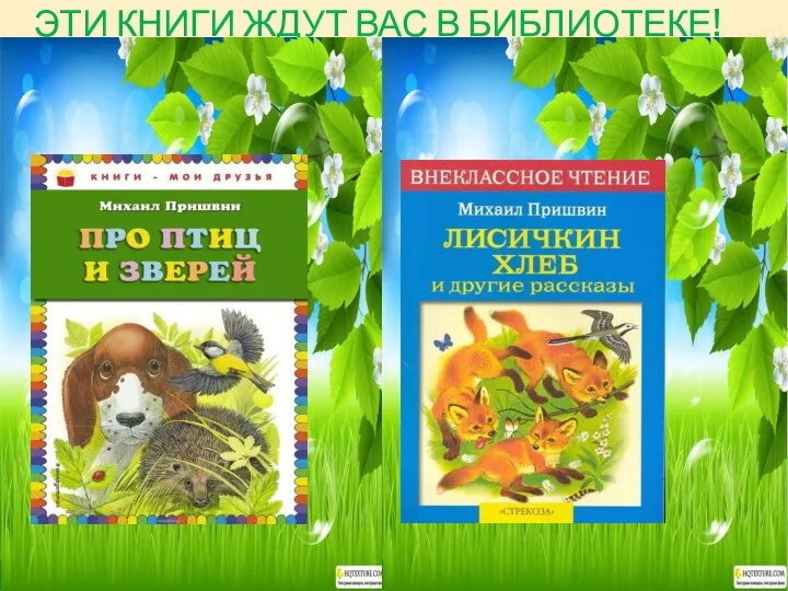 ЭТИ КНИГИ ЖДУТ ВАС В БИБЛИОТЕКЕ!