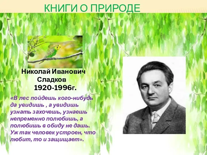 КНИГИ О ПРИРОДЕ Николай Иванович Сладков 1920-1996г. «В лес пойдешь кого-нибудь