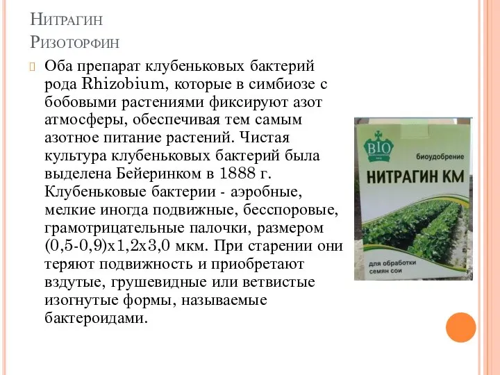 Нитрагин Ризоторфин Оба препарат клубеньковых бактерий рода Rhizobium, которые в симбиозе