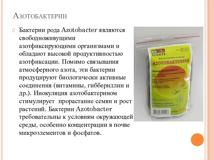 Азотобактерин Бактерии рода Azotobacter являются свободноживущими азотфиксирующими организмами и обладают высокой