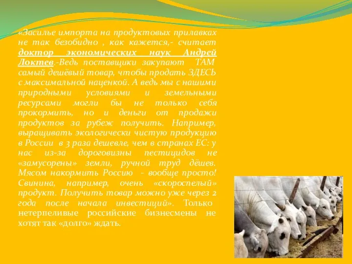 «Засилье импорта на продуктовых прилавках не так безобидно , как кажется,-