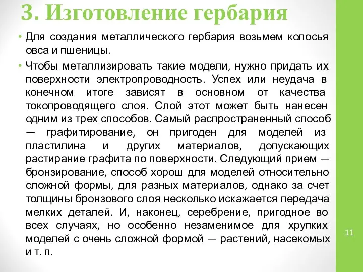 3. Изготовление гербария Для создания металлического гербария возьмем колосья овса и