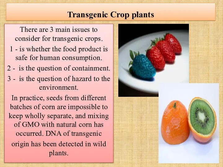 Transgenic Crop plants There are 3 main issues to consider for