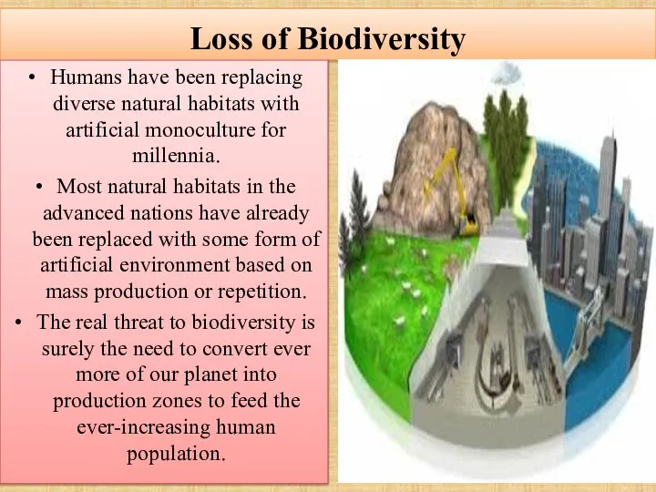 Loss of Biodiversity Humans have been replacing diverse natural habitats with