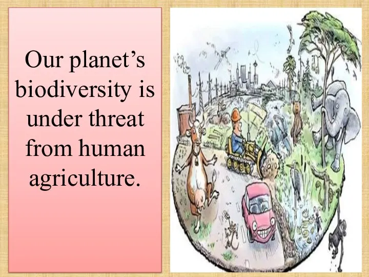Our planet’s biodiversity is under threat from human agriculture.