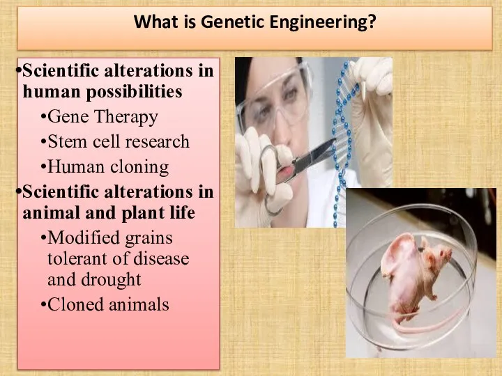 What is Genetic Engineering? Scientific alterations in human possibilities Gene Therapy