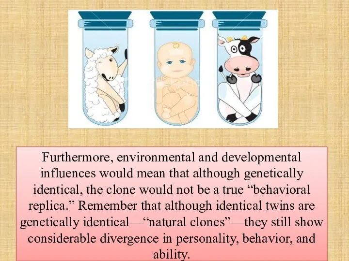 Furthermore, environmental and developmental influences would mean that although genetically identical,