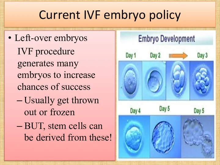 Current IVF embryo policy Left-over embryos IVF procedure generates many embryos