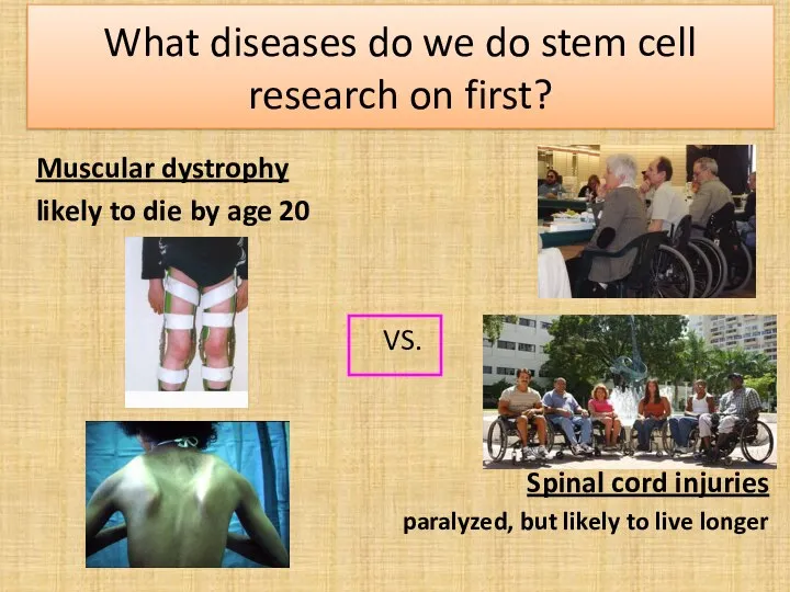 What diseases do we do stem cell research on first? Muscular
