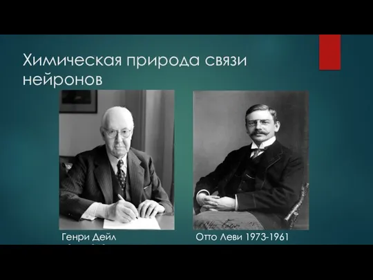 Химическая природа связи нейронов Генри Дейл 1875-1968 Отто Леви 1973-1961