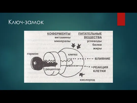 Ключ-замок