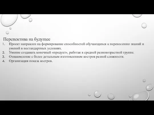 Перспектива на будущее Проект направлен на формирование способностей обучающихся к перенесению