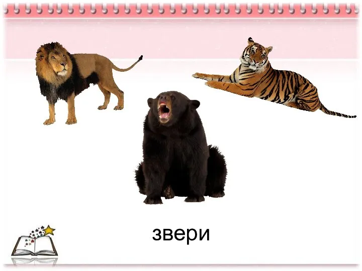 звери