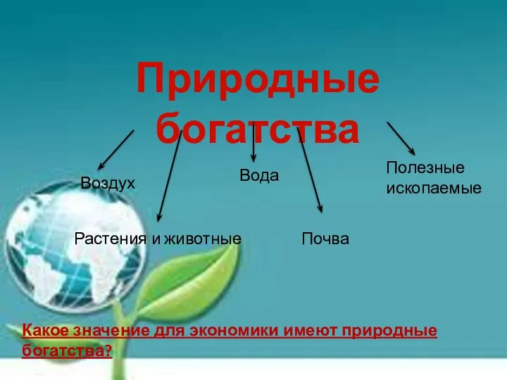 Природные богатства Воздух Вода Полезные ископаемые Почва Растения и животные Какое