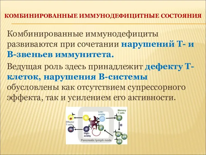 КОМБИНИРОВАННЫЕ ИММУНОДЕФИЦИТНЫЕ СОСТОЯНИЯ Комбинированные иммунодефициты развиваются при сочетании нарушений Т- и