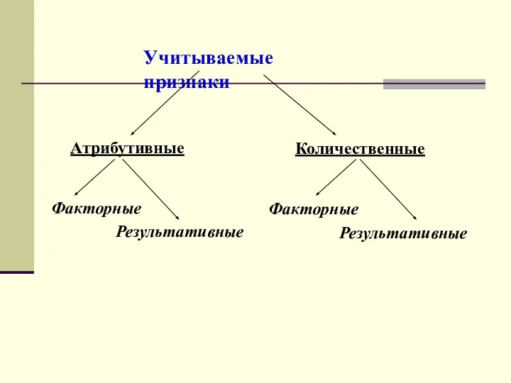 Учитываемые признаки Атрибутивные Количественные Факторные Результативные Факторные Результативные