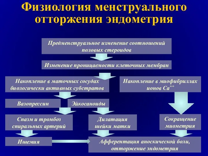 Физиология менструального отторжения эндометрия Предменструальное изменение соотношений половых стероидов Изменение проницаемости