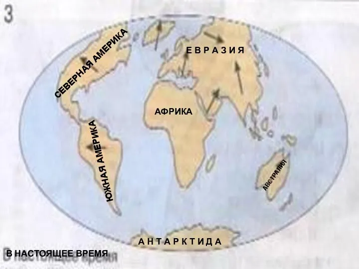 АФРИКА Е В Р А З И Я АВСТРАЛИЯ СЕВЕРНАЯ АМЕРИКА